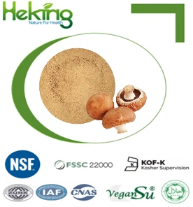 תמצית Agaricus Bisporus